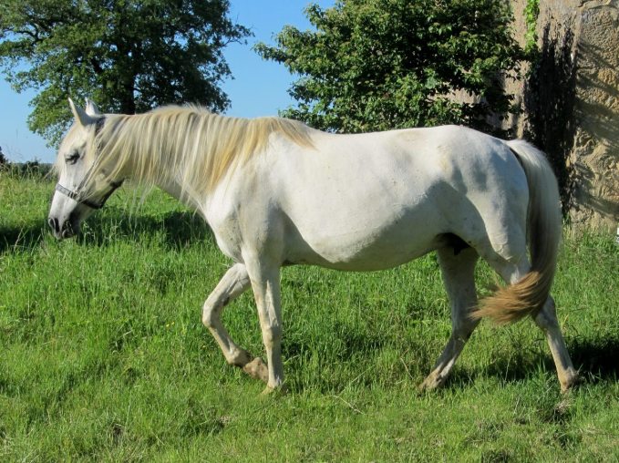 ouassane-hp-18-09-16-1