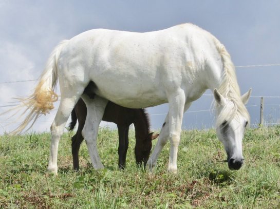 ouassane-hp-18-09-16-6