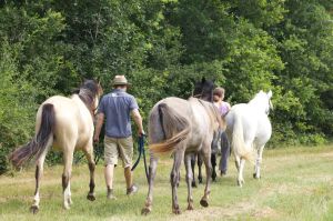 Sommerspaziergang-Juli-13