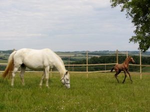 Ouassane & Diamond-27.05.13