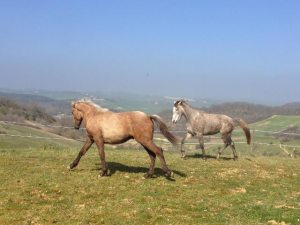 Diamond&Ben Baran-März-14-2