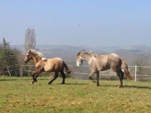 Diamond&Ben Baran-März-14-3