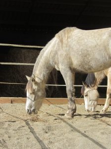 Ben&Beida-Feb.15-1 (768x1024)