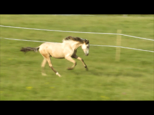 5.3-Deseada-Juni-14-2