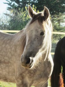 9 Ben Baran Okt. 14 (2)