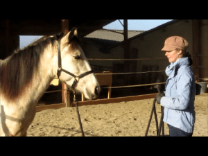 Beida-Momentaufnahme-1