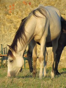 Beida-0912-3 (767x1024)