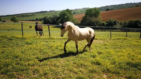 VID_20180511_110118_Moment2