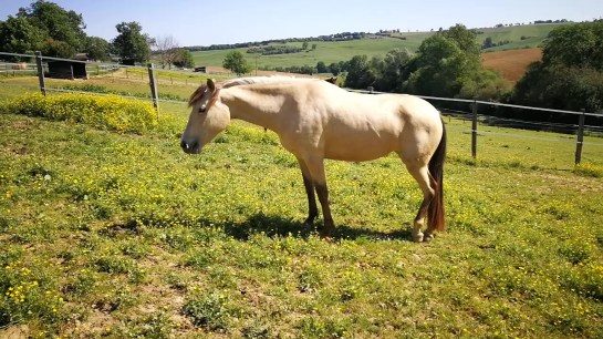 VID_20180511_110118_Moment3